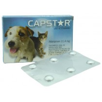 Capstar 11,4 mg Cães Até 11,4 kg - 6 comp
